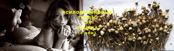герыч Алзамай