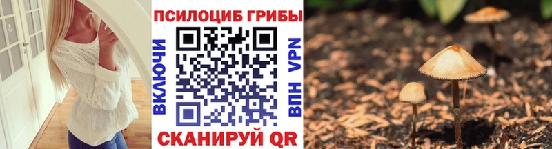 Галлюциногенные грибы GOLDEN TEACHER Новокубанск