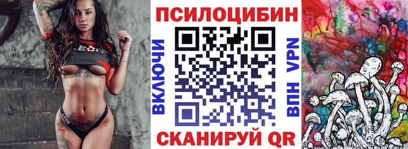 Галлюциногенные грибы Psilocybe  Новокубанск 